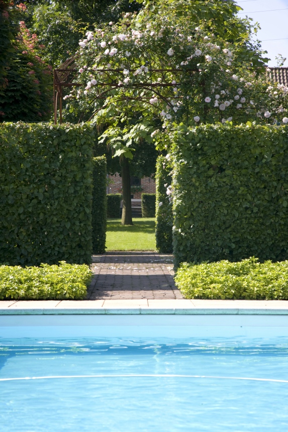 Grote klassieke tuin met zwembad