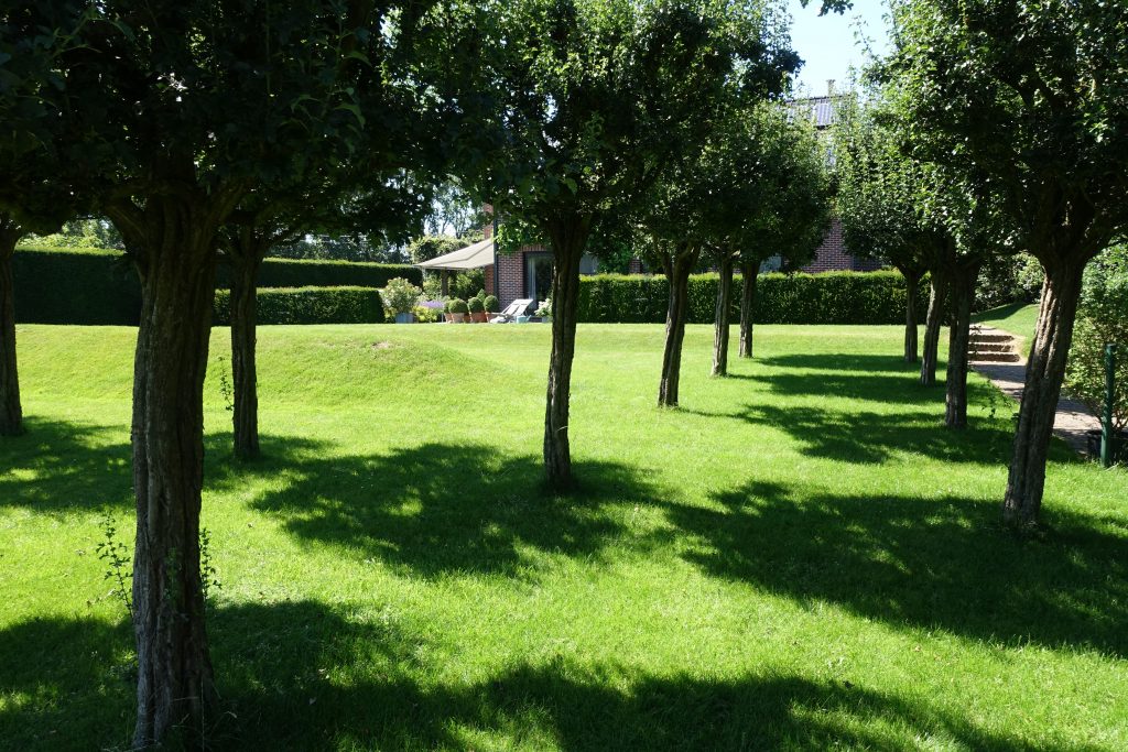 Sfeervolle vrije tuin met houten vlonders