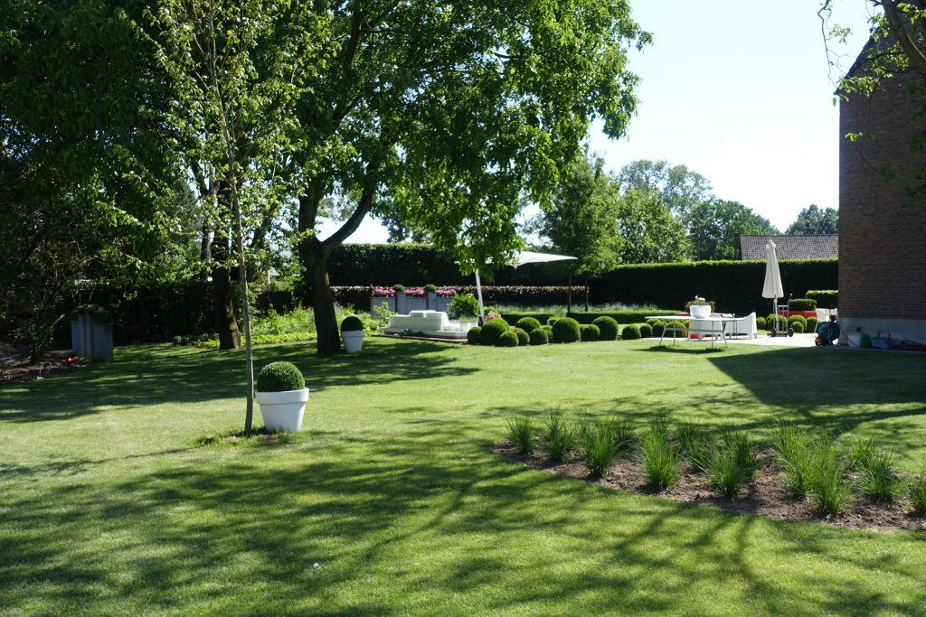 Natuurlijke vrije tuin met schapenhekken