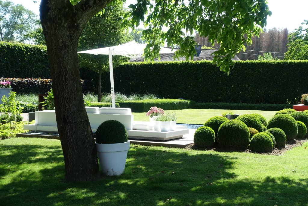 Ruime vrije tuin met grasveld