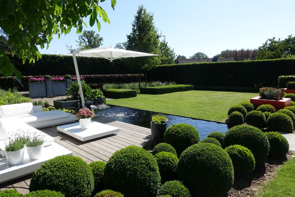 Natuurlijke vrije tuin met groenblijvende planten