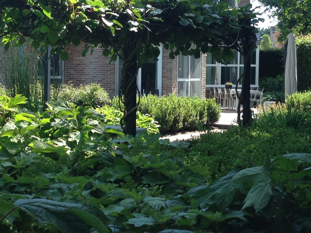 Landelijke vrije tuin met klimophaag