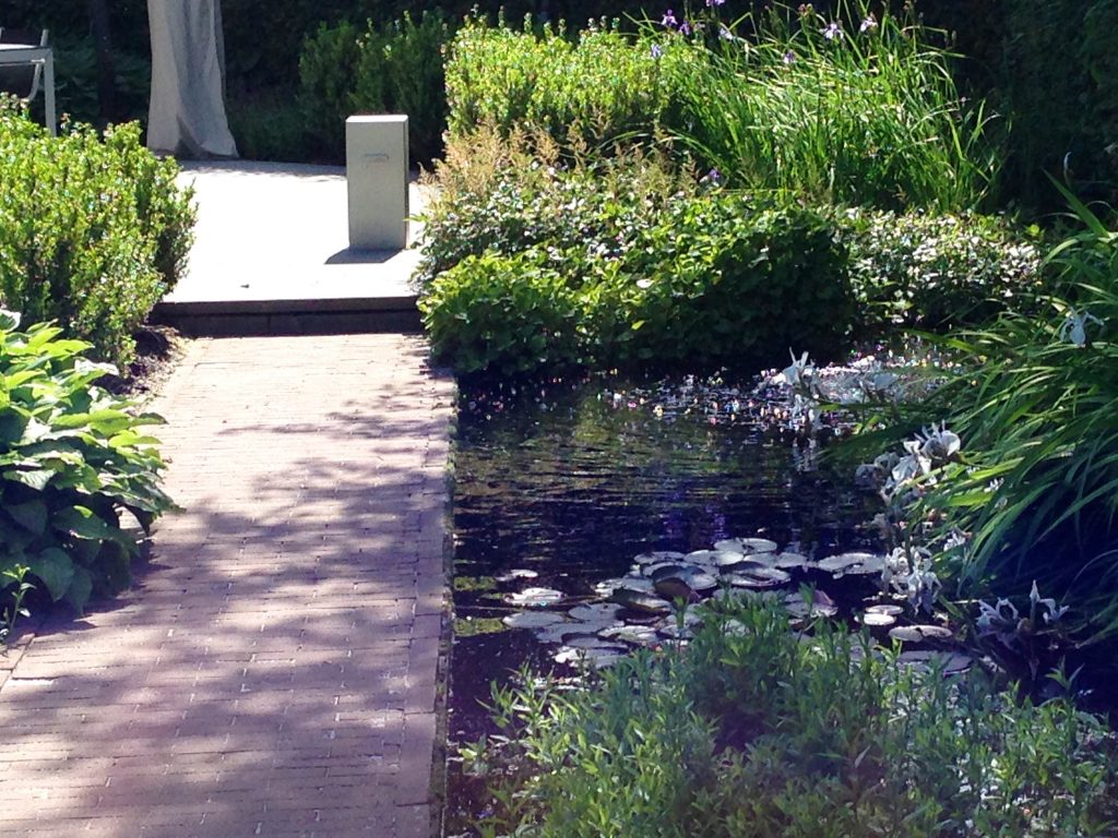 Moderne vrije tuin met strakke vijver