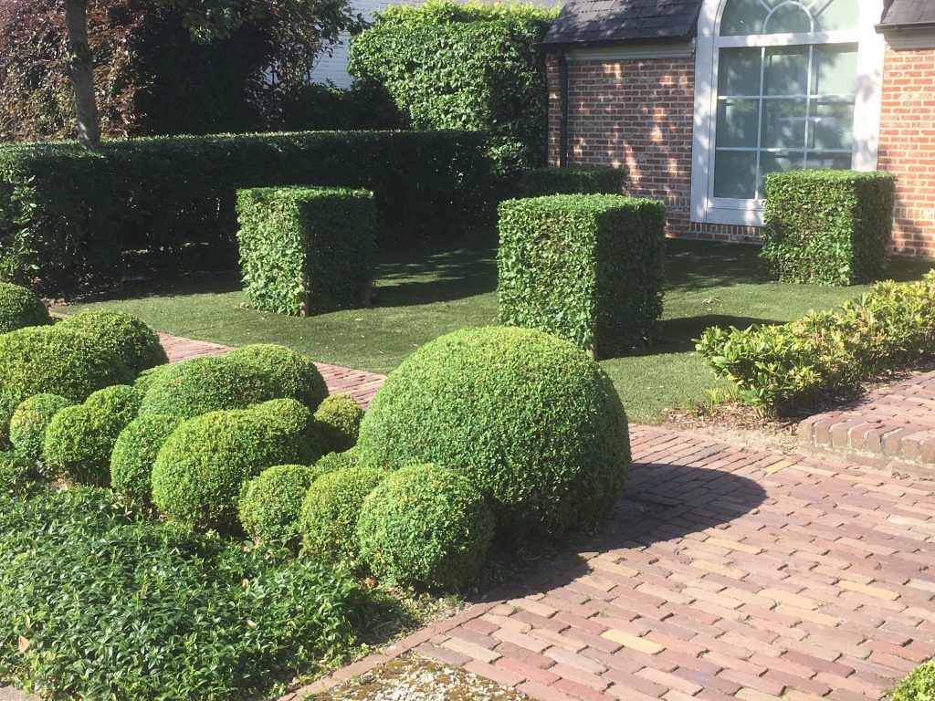 Minimalistische tuinontwerp met klassieke look