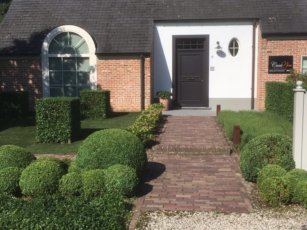 Klassieke haagjes in de tuin
