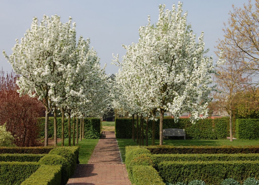 Klassieke tuinornamenten