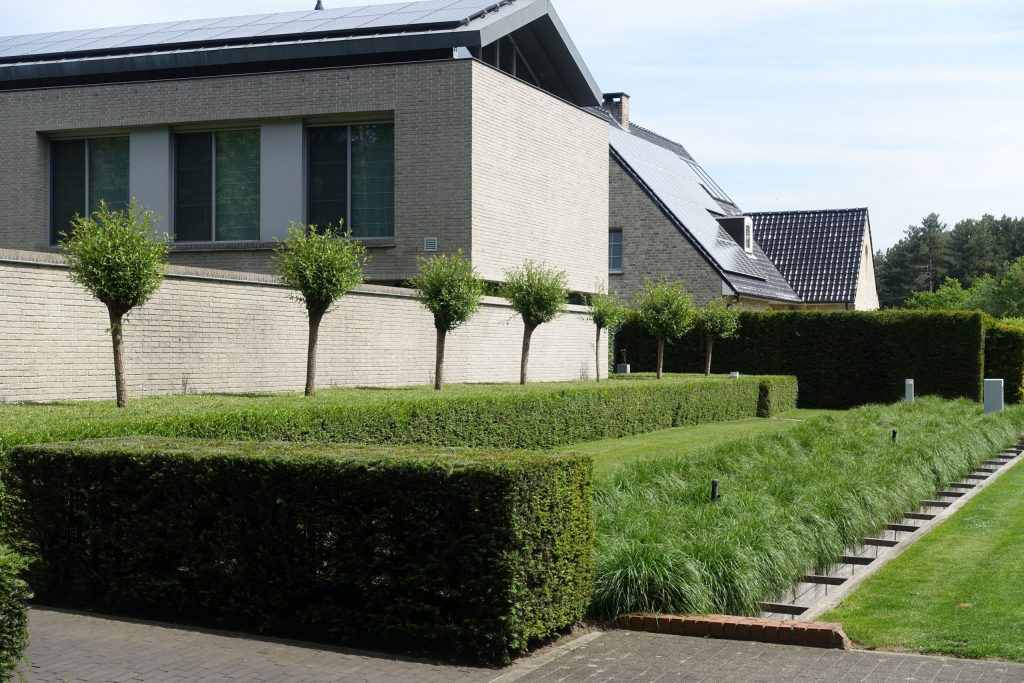 Moderne achtertuin