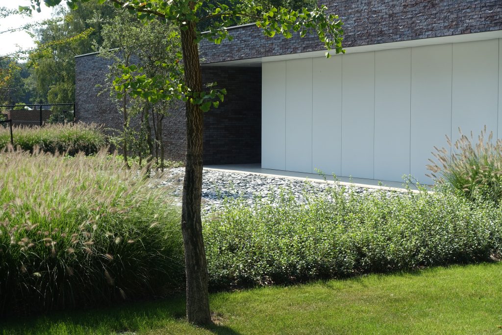 Moderne tuin