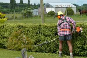 onderhoud van tuin