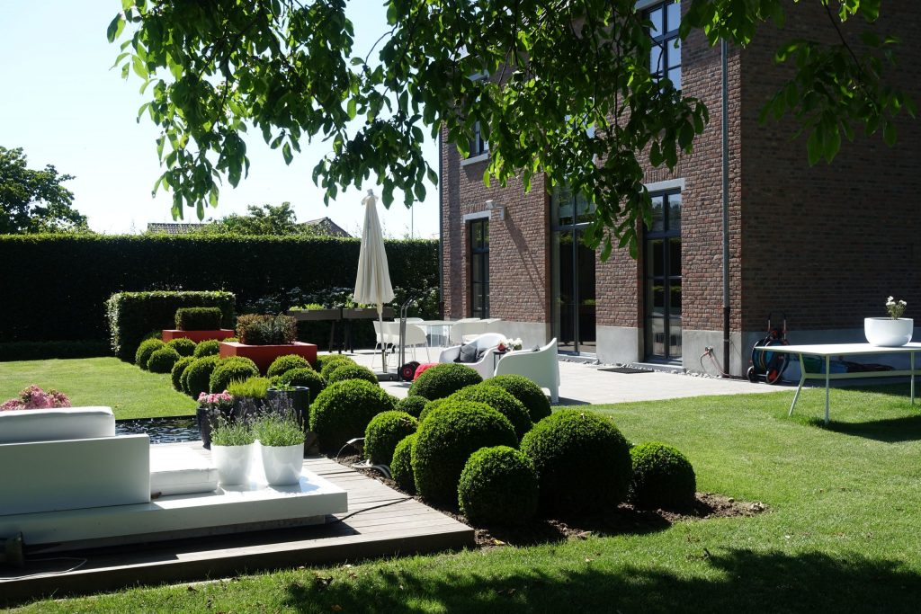 tuin met rond gesnoeide buxus