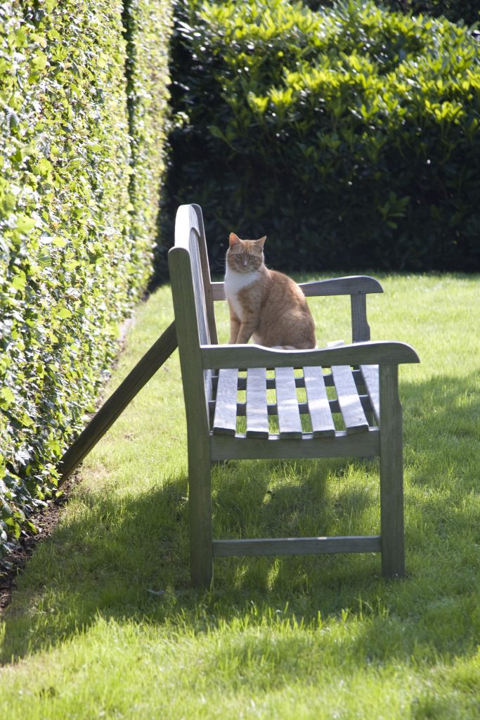 Landelijk tuinplan