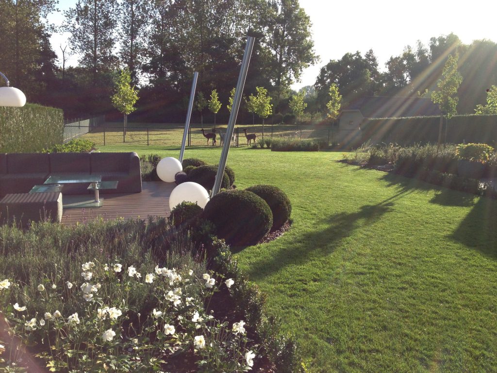 Ontspannende tuin