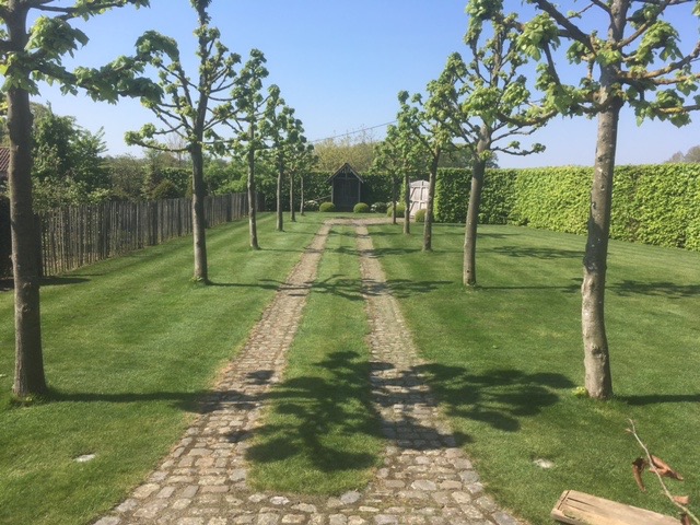 Achtertuin