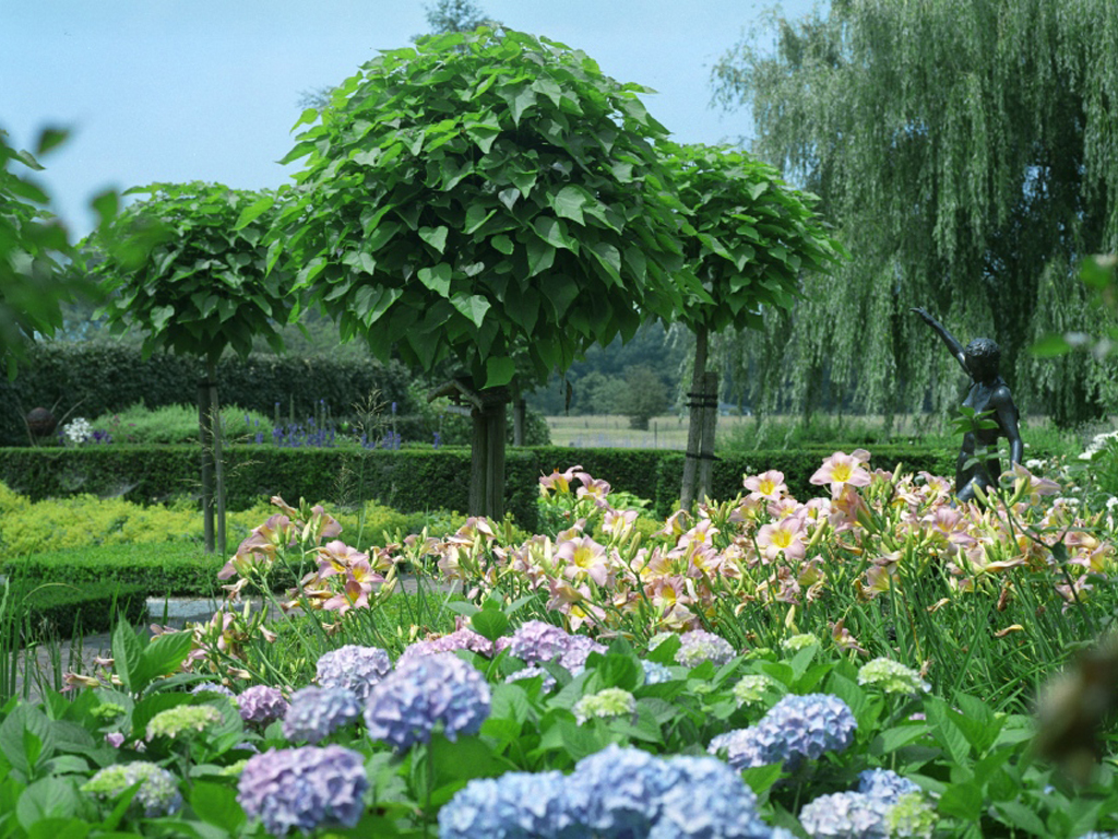bloemen en planten in bloei