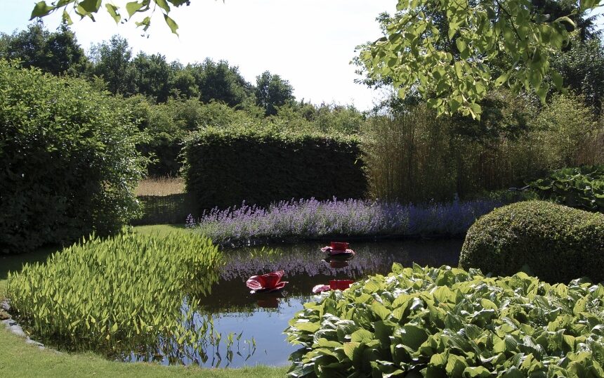 beplanting rond vijver